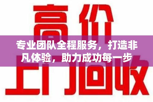 泰州专业团队全程服务，打造非凡体验，助力成功每一步
