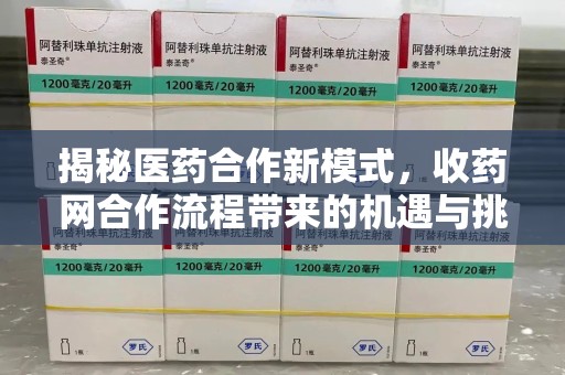 泰州揭秘医药合作新模式，收药网合作流程带来的机遇与挑战