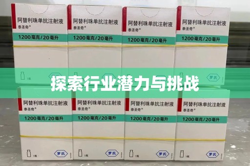 泰州探索行业潜力与挑战