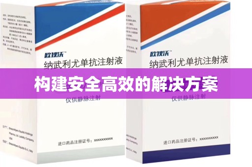 泰州构建安全高效的解决方案
