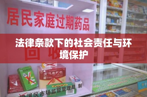 泰州法律条款下的社会责任与环境保护