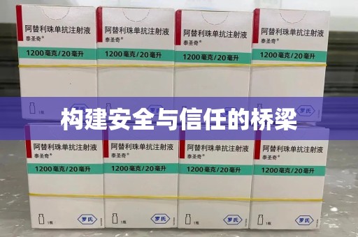 泰州构建安全与信任的桥梁